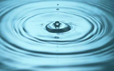 Der 5-Elemente-Zyklus in Feng Shui, Bazi Suanming und TCM