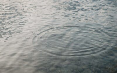 Bazi Suanming Blog 5 Der 5-Elemente-Zyklus in Feng Shui, Bazi Suanming und TCM