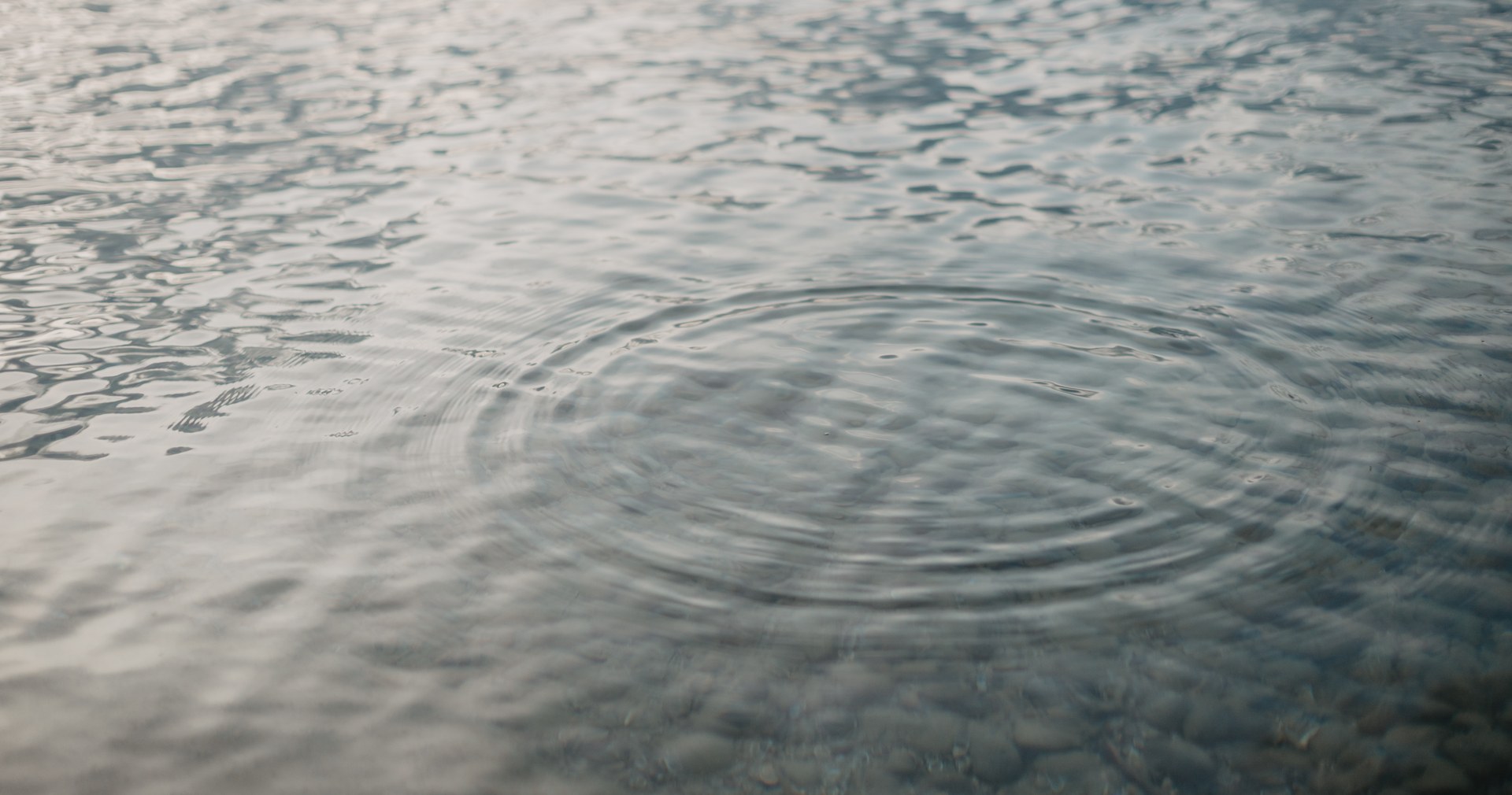 5-elemente-zyklus-wasserkreise Konzentrische Wasserkreise auf einer stillen Oberfläche – Symbol für den 5-Elemente-Zyklus