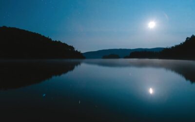 Monatsenergie November 2025 – Vom Mut, dich zu zeigen