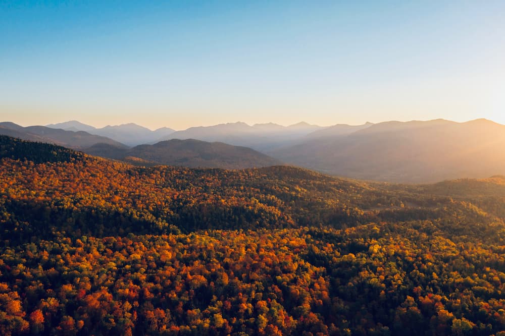 Goldenes Sonnenlicht fällt durch herbstliche Bäume und symbolisiert die Bazi Monatsenergie Oktober 2025 – Klarheit, Ruhe und inneren Frieden.
