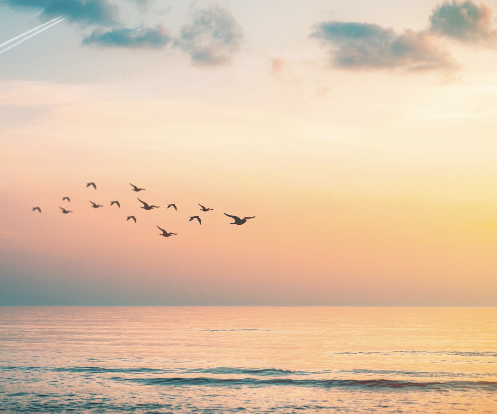 Titelbildoptionen BWA 2 - Titelbild BWA 2 Vogelformation im Sonnenaufgang über dem Meer – Symbol für innere Ausrichtung, Freiheit und gemeinsames Wachstum in der Ausbildung Bazi Wisdom 2