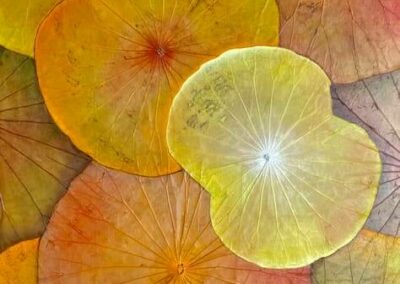 Herbstgold 60 x 100 cm Öl auf Lotusblättern, Holzpaneele 1200 CHF/EUR - verkauft