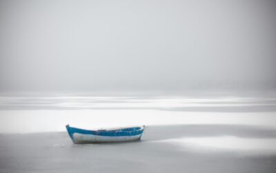 Ist die Ratte im Bazi Yin oder Yang Wasser?