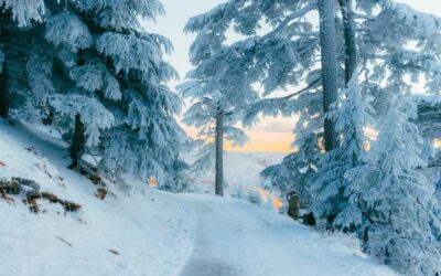 Zeitqualität Februar 2026 – Vision auf dem Prüfstand